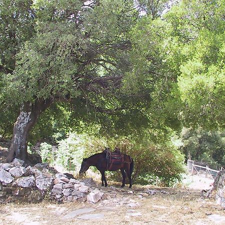 Hotel Agnanti Agios Konstantinos  Luaran gambar