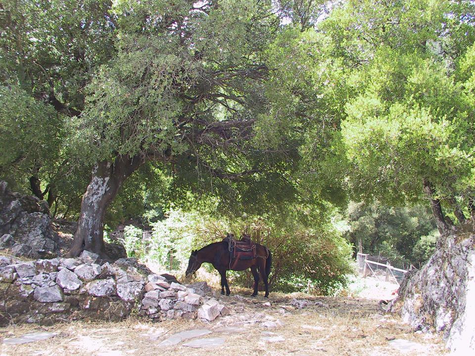 Hotel Agnanti Agios Konstantinos  Luaran gambar